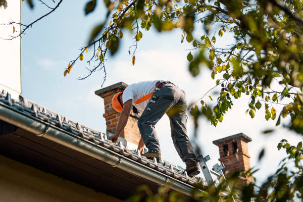 Best Roof Moss and Algae Removal  in Woods Hole, MA
