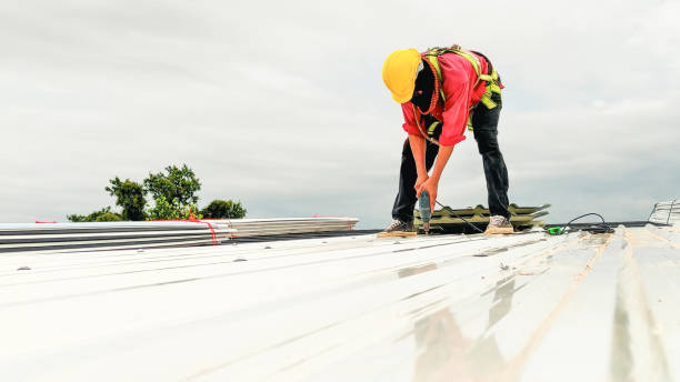 Best Roof Maintenance and Cleaning  in Woods Hole, MA